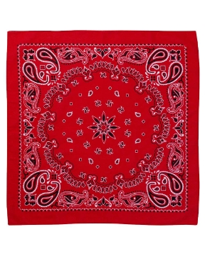 Red Paisley