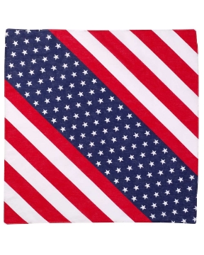 USA Flag