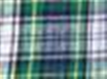 Gordon Holiday Plaid