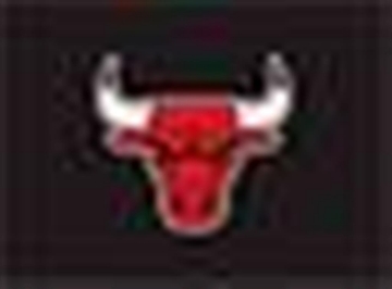 Chicago Bulls