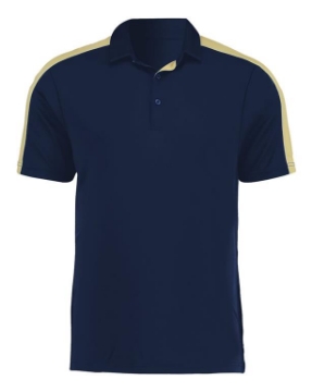 Navy/ Vegas Gold