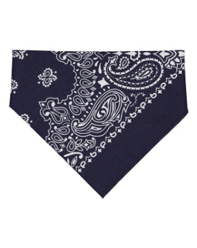 Navy Paisley