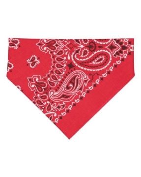 Red Paisley