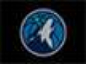Minnesota Timberwolves