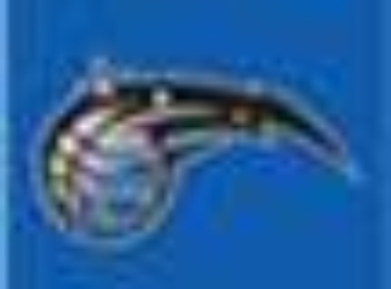 Orlando Magic
