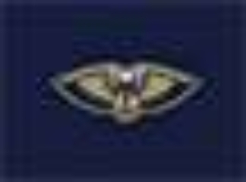 New Orleans Pelicans