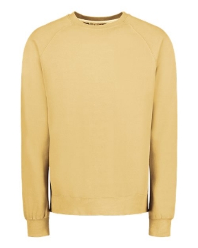 MV Sport - Men's Vintage Fleece Raglan Crewneck Sweatshirt - 17116