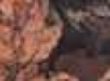 Mossy Oak Country Break Up