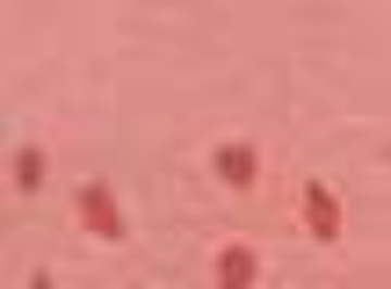 Mauvelous/ Mauvelous Spot