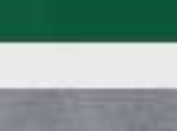 Dark Green/ White/ Graphite