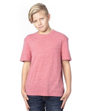 Threadfast Apparel - Youth Triblend T-Shirt - 602A