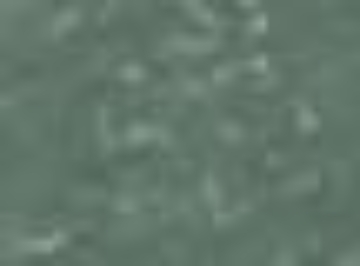 Forest Green/ Silver