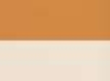 Caramel Brown/ Cream