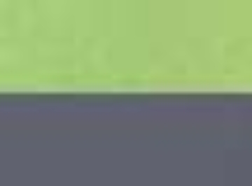 Lime Green/ Dark Grey