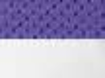 Purple/ White