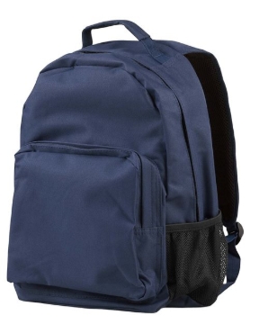 BAGedge - Travel Laptop Backpack - BE030