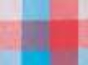 Paradise Buffalo Check