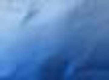 Athletic Royal Ombre