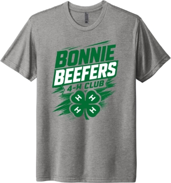 Picture of 26BB - Soft Tee - B