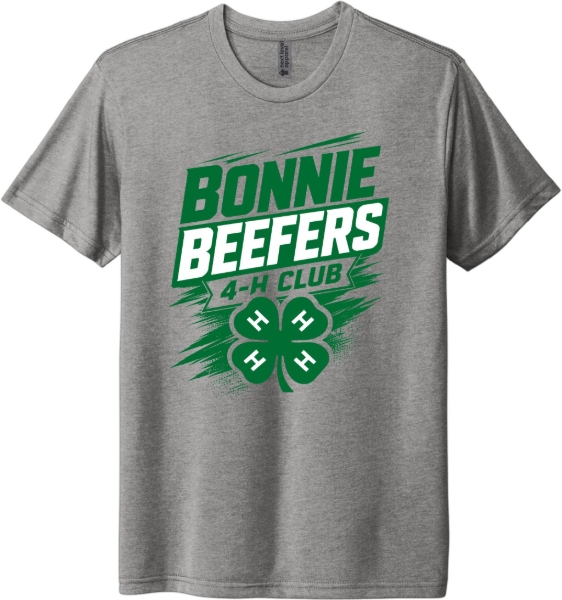 Picture of 26BB - Soft Tee - B